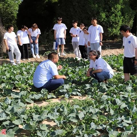 各地气象局属于什么单位