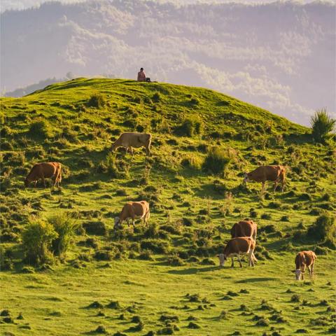 兰州新区避暑的好地方？