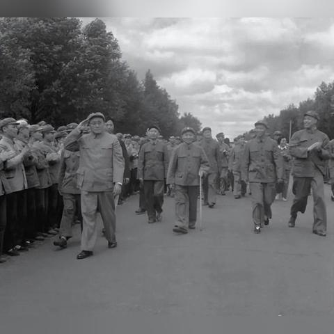 哈尔滨静音厨师机相关长尾关键词有哪些