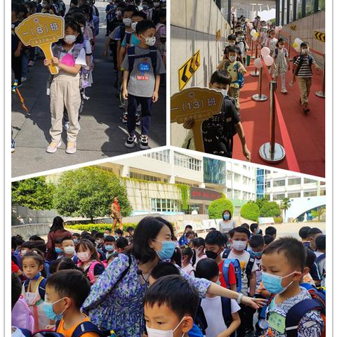 河南实验小学哪个好一点