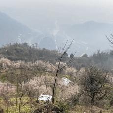 成都市中心野炊哪里好吃