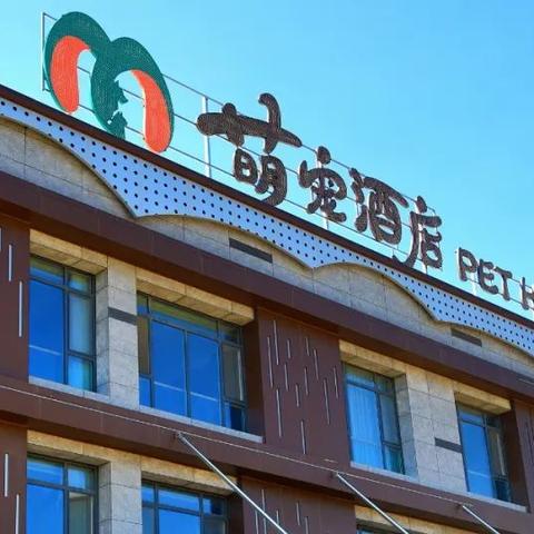 临沂市鹿市场在哪里的长尾关键词有什么