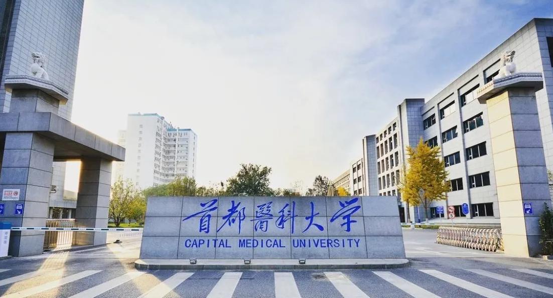 上海的大学排名一览表(上海船舶大学排名)