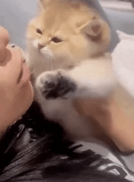 色色动态图李毅吧18期表情包