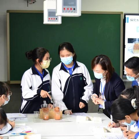 深圳市艺术高中附属学校好不好？