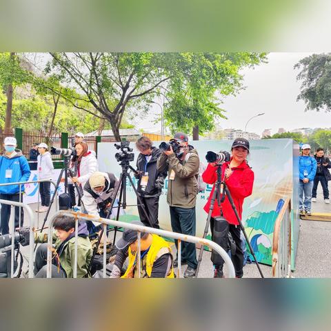 桂林马拉松路线相关长尾关键词有哪些