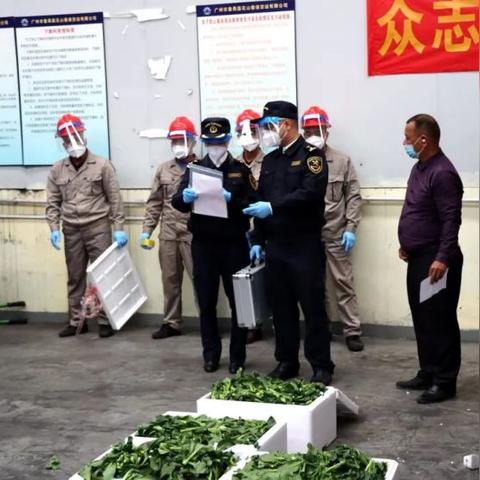 深圳跨境司机多少个阳性