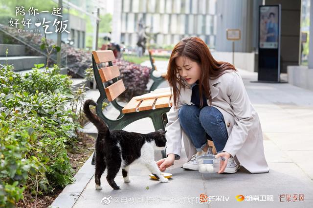 陪你一起好好吃饭剧评