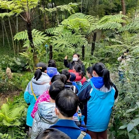 成都市植物园有哪些花展