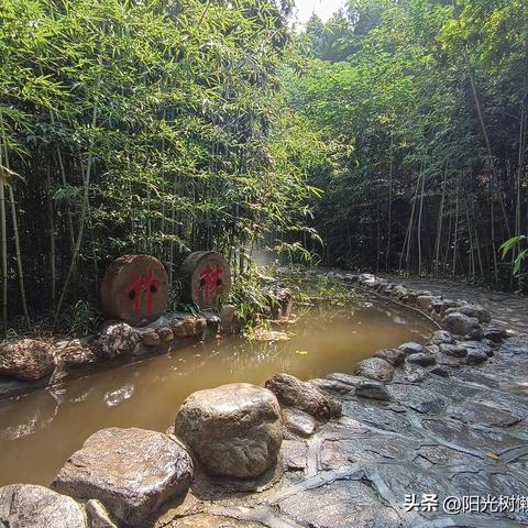 济南市东峪翠谷在哪里