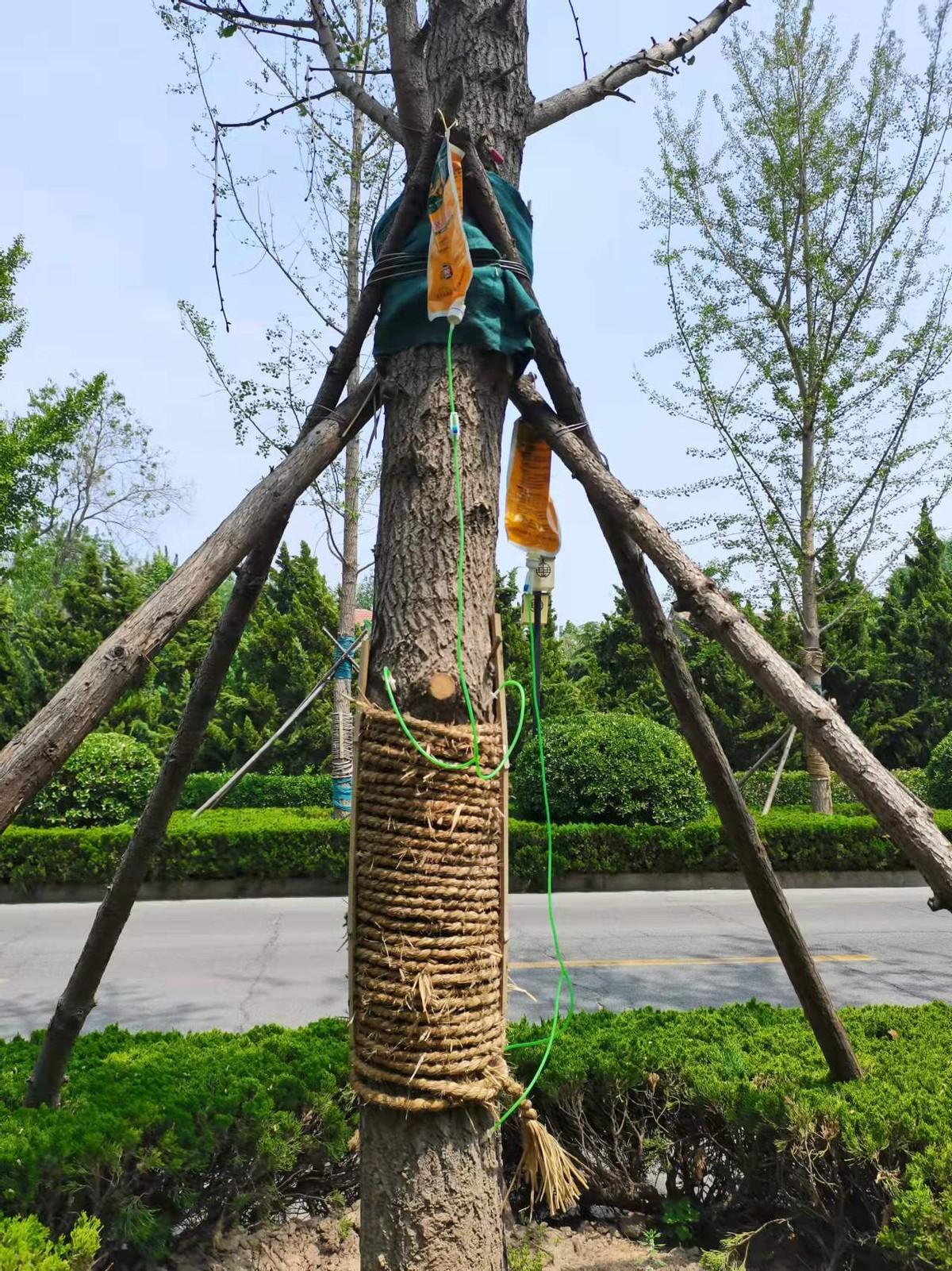猪年宝宝姓涂怎么起名（山西朔州谩骂学生教师被从25级降到1级）