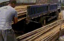 生肖起名牛宝宝名字怎么取(依宸名字寓意)