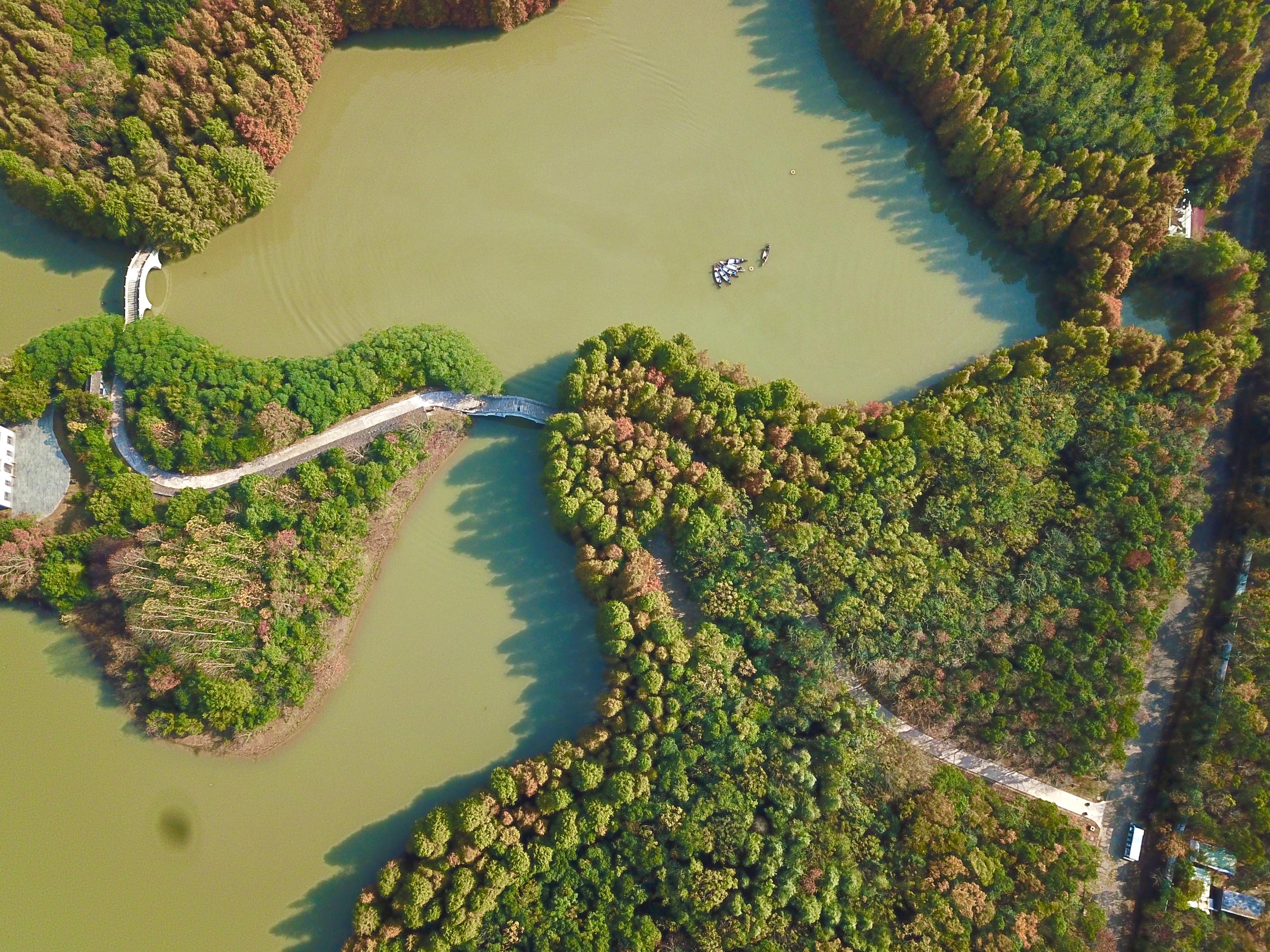 【上海海湾国家森林公园攻略,上海海湾国家森林公园好玩吗?】 【上海海湾国家森林公园攻略,上海海湾国家森林公园好玩吗?】