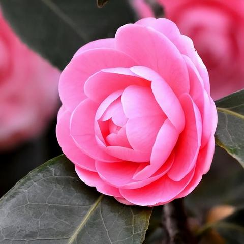 宁波市最喜的是哪个县