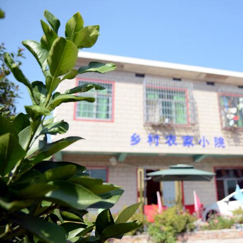 长沙农家小院岳麓区相关长尾关键词有哪些