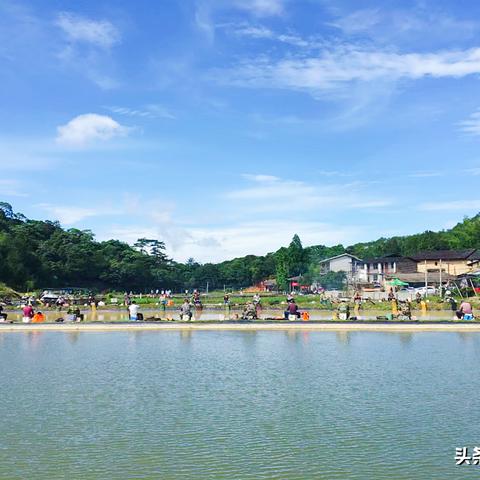 福建海边渔业环境怎么样