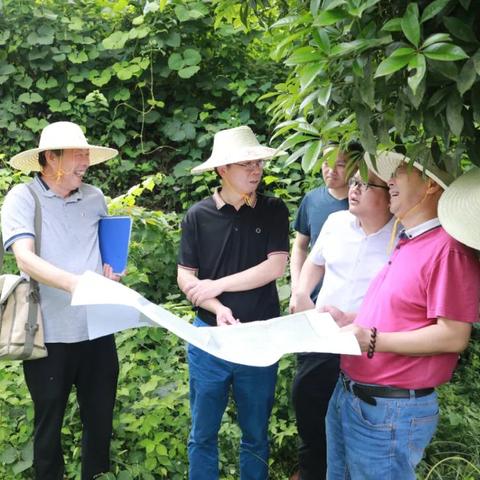 吉林长春市经济发展状况的长尾关键词有什么