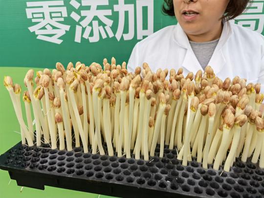 疫情给我们带来了什么提示？蔬菜创业，是永远不会落后的踏实项目