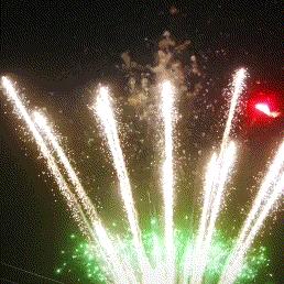 菏泽市山枣花王专卖店在哪里