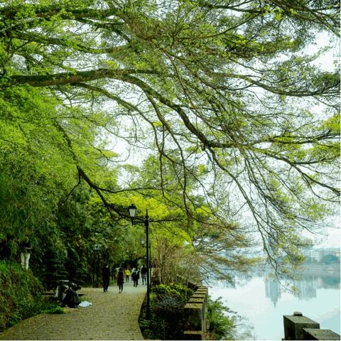 福建省绿道的相关长尾关键词有哪些