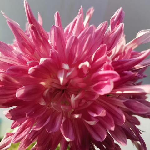 潍坊市到南通市多少公里