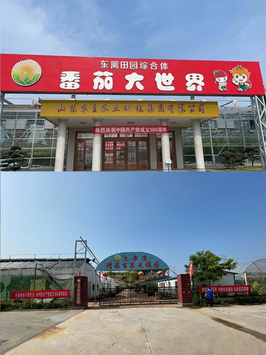 潍坊app拉新渠道(潍坊智达信息技术有限公司是做什么的)