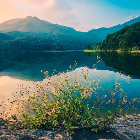 玩乐厦门的相关长尾关键词有哪些