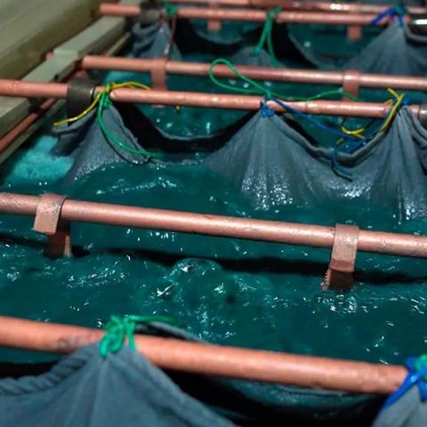 东莞市二手花槽的长尾关键词有哪些