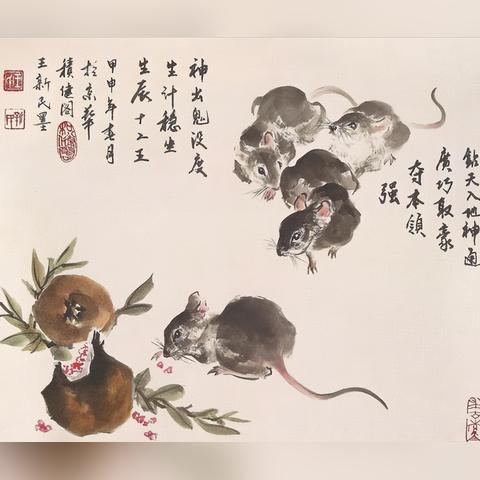 属鼠的生肖今年的运势(属鼠的生肖今年的运势怎么样)