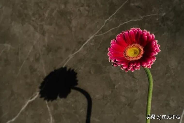 孕妇梦见自己被抛弃