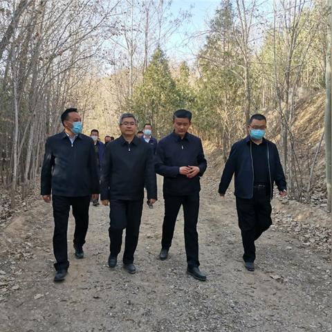 兰州市的新区是哪个区的