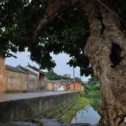 桂林至灵山的汽车相关长尾关键词有哪些