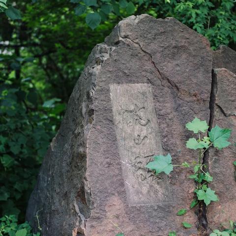 武汉这几天都在说“静默”，这个词最早是在哪里出现的呢？