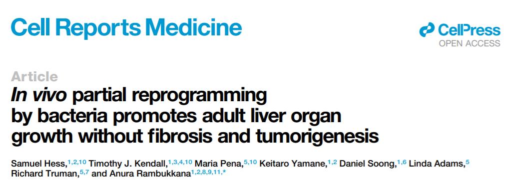 再生资源与循环经济毕业论文格式你捡过最大的漏是什么