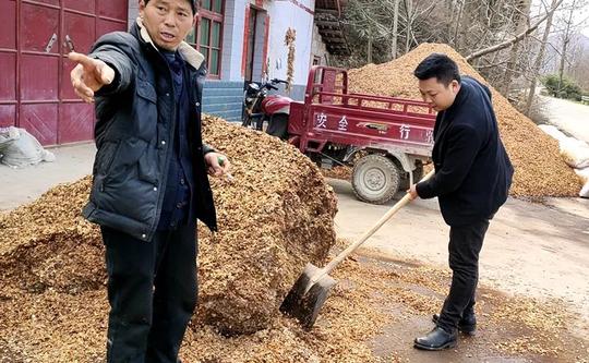 乡村振兴路上的“领头羊”——记南郑区退役军人事务局派驻铁炉村第一书记文智立