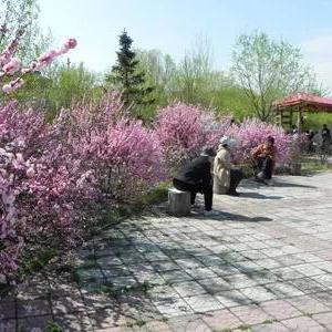 佛山市禅城区百花公园在哪里