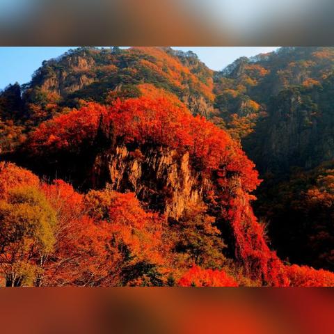 沈阳小众酒吧拍照相关长尾关键词有哪些