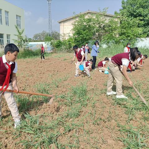 无锡市北塘小学怎么样