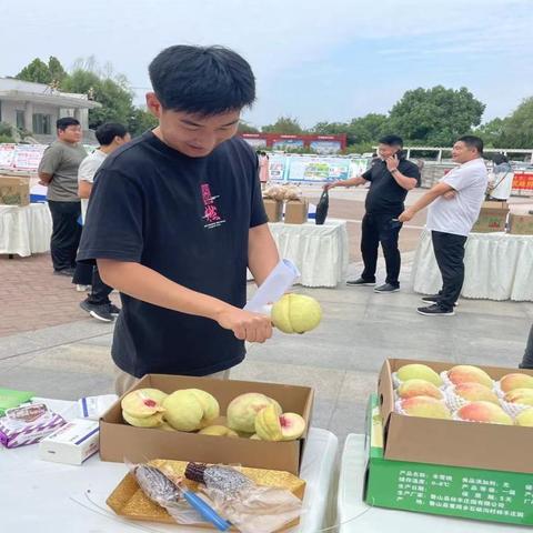 林丰庄园桃子好吃吗？