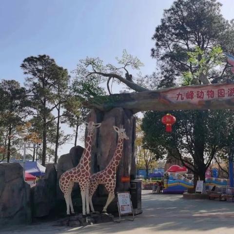 武汉市动物园怎么样