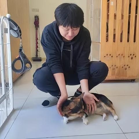 西安留守猫相关长尾关键词有哪些