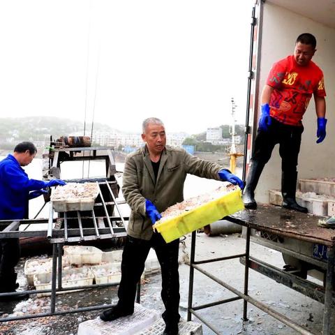 宁波东海菜场的相关长尾关键词有哪些