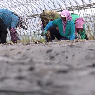 哈尔滨市一亩地多少平方