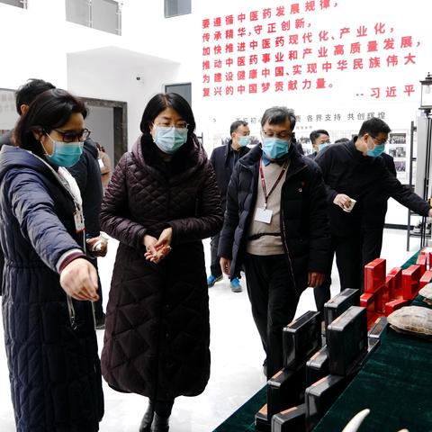 新蔡县属于哪个市？