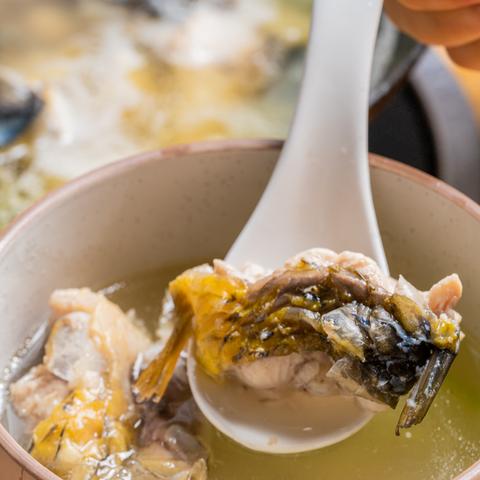 桂林市哪里河边吃鱼好看