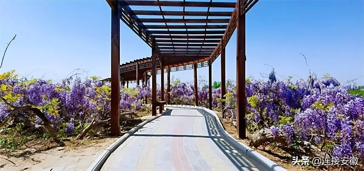 云游敦煌nft怎么转赠 云游敦煌NFT可以转让嘛