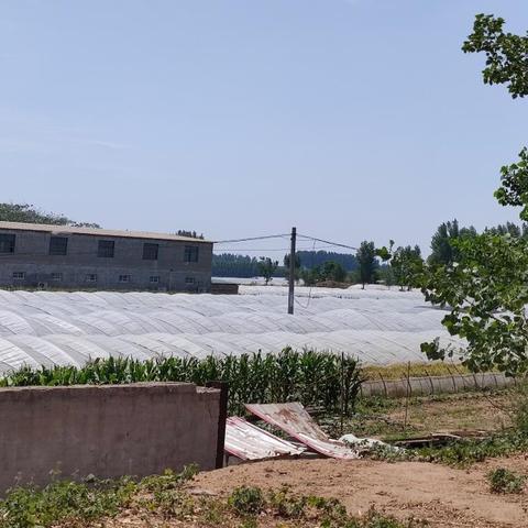 河南农服怎么样