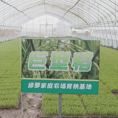 天津大棚怎么样管理