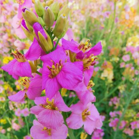 南通现在感冒怎么办理相关长尾关键词有哪些