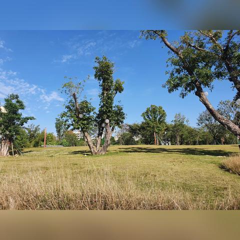 东莞市哪些水库可以钓鱼